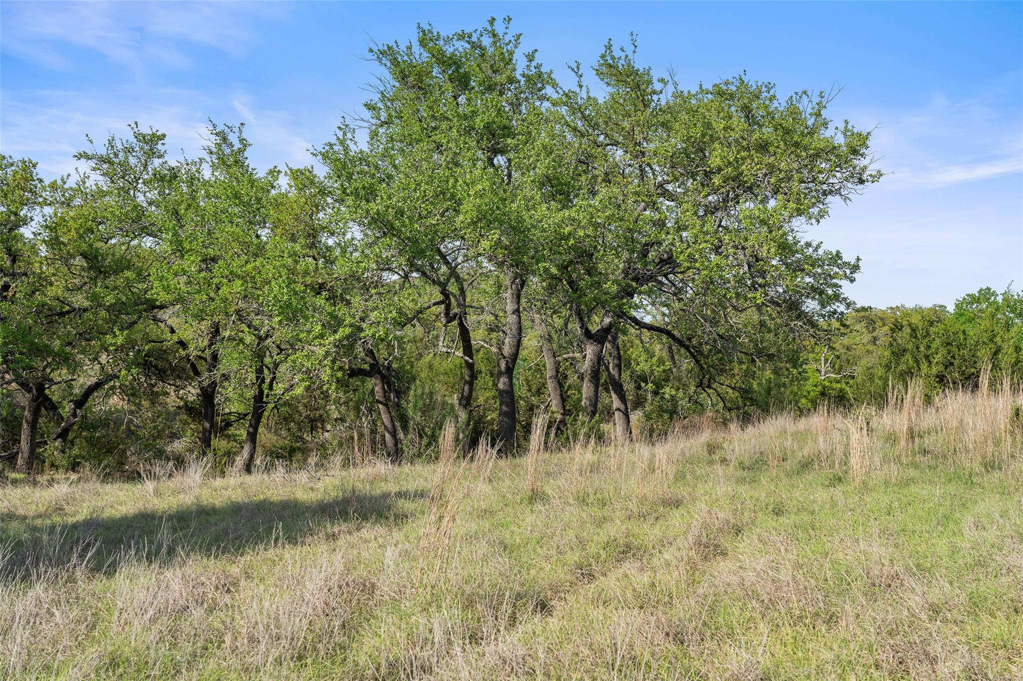 TBD Hwy 290, Johnson City, TX 78636