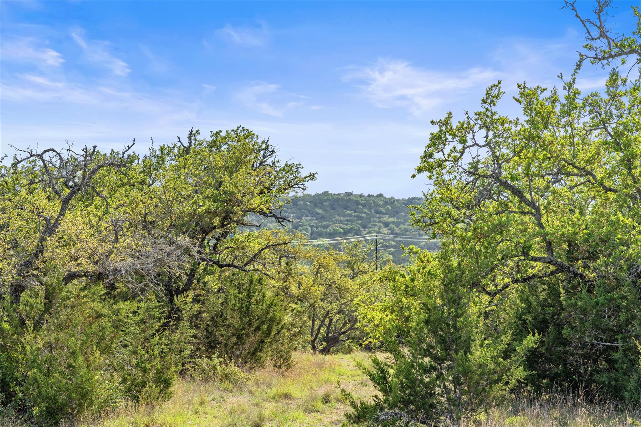 TBD Hwy 290, Johnson City, TX 78636