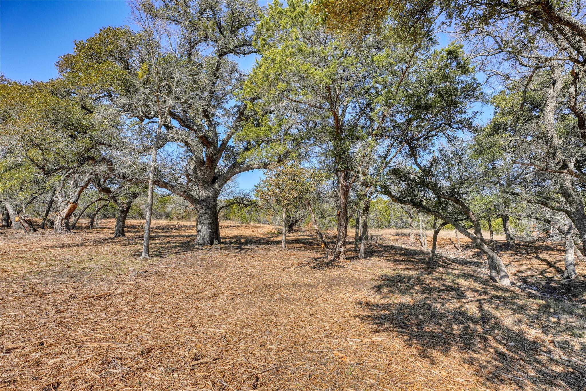 lot 21 Burnet Oaks Dr, Burnet, TX 78611