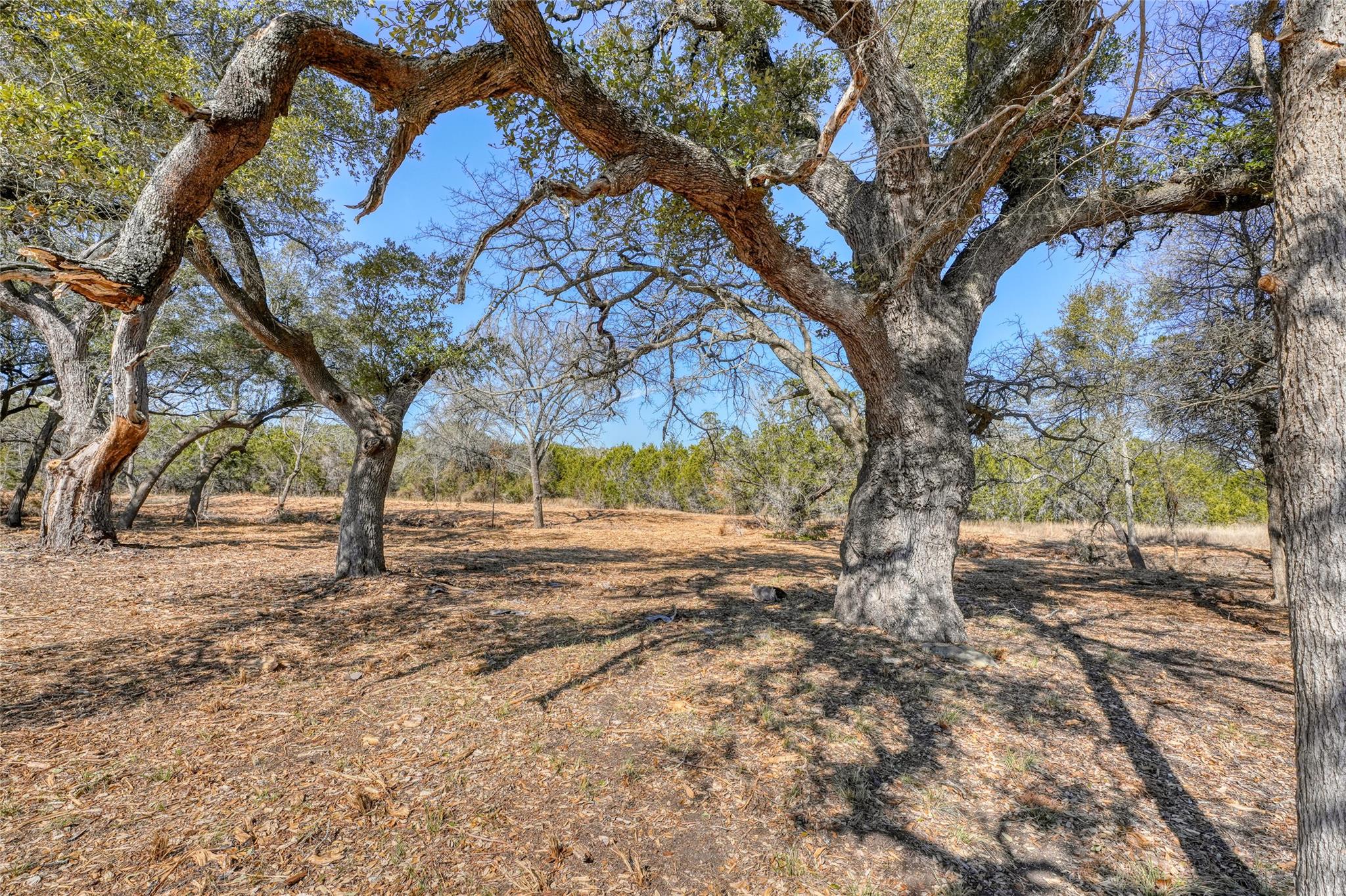 lot 21 Burnet Oaks Dr, Burnet, TX 78611