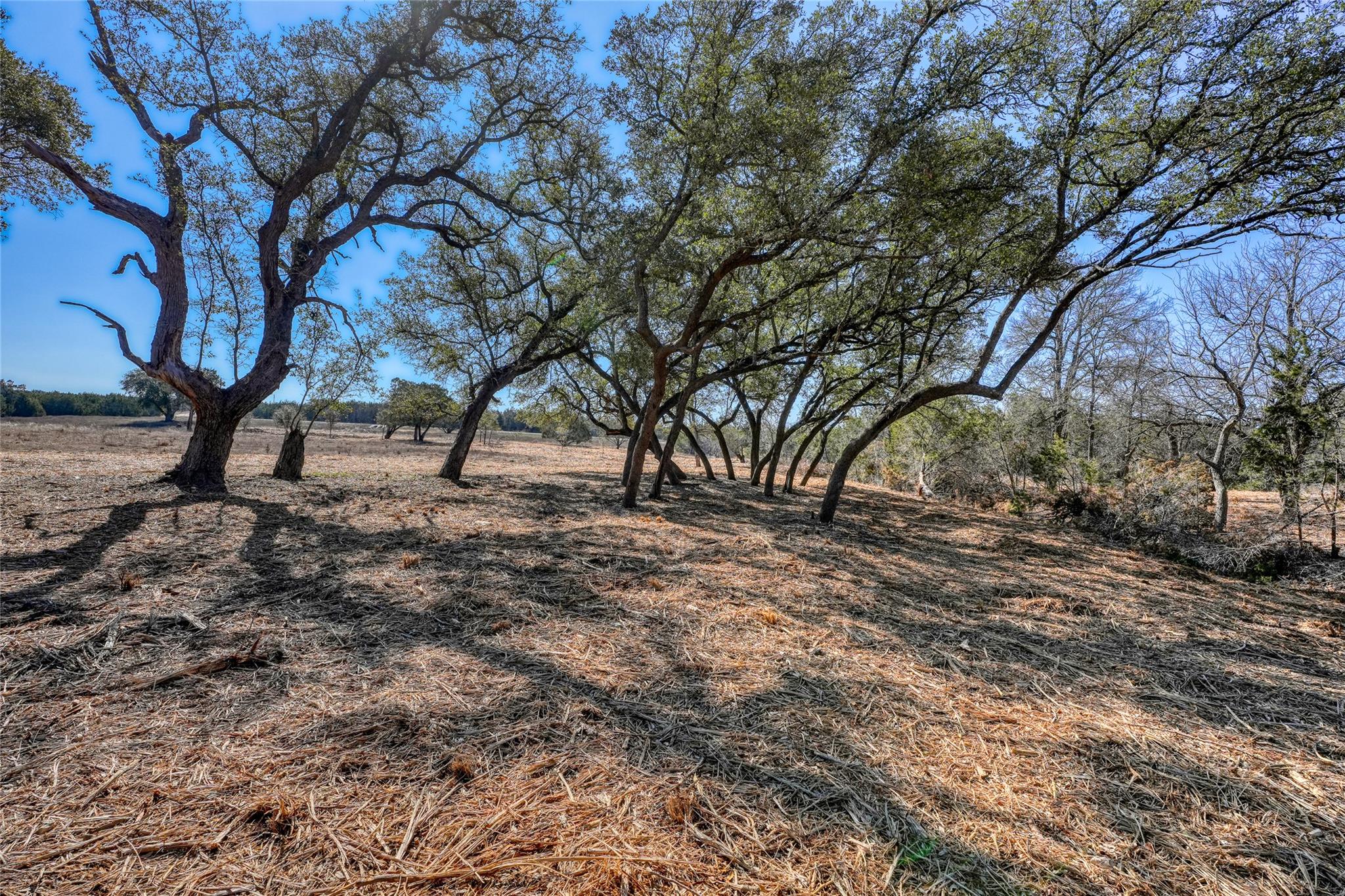 lot 21 Burnet Oaks Dr, Burnet, TX 78611