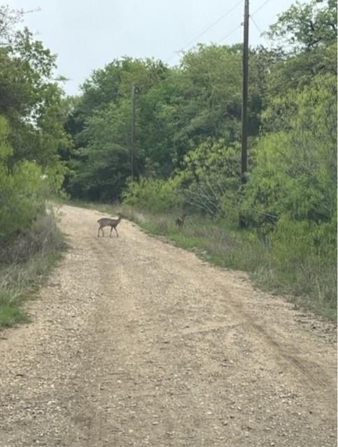 Lot 755 Bali Hai Ln, Bastrop, TX 78602