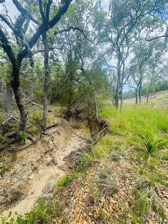 560 Longview Rd, Dripping Springs, TX 78620