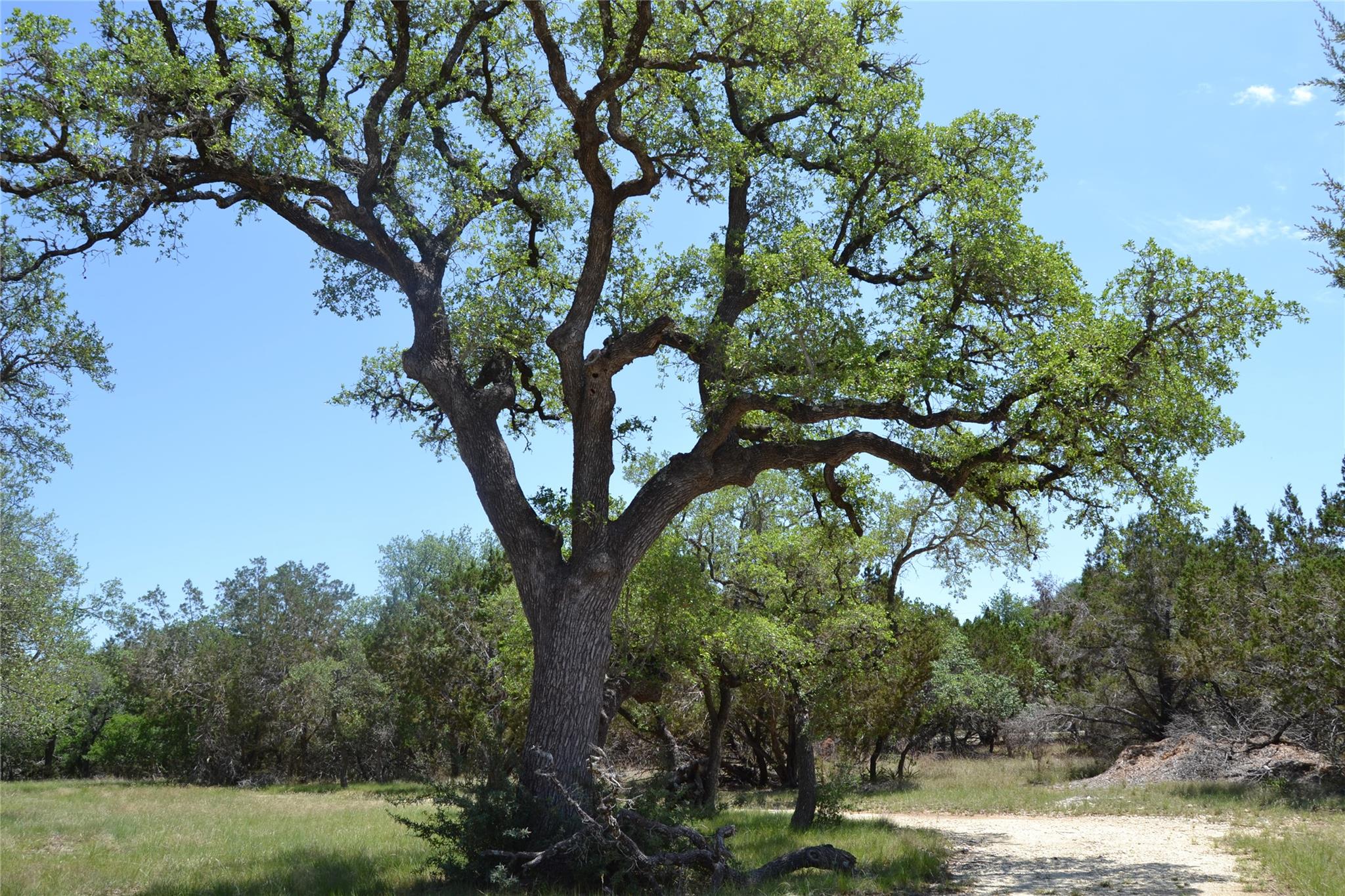 560 Longview Rd, Dripping Springs, TX 78620