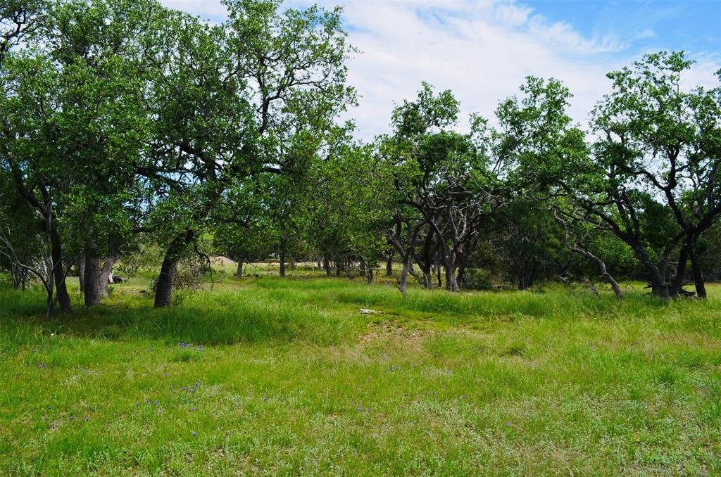 560 Longview Rd, Dripping Springs, TX 78620
