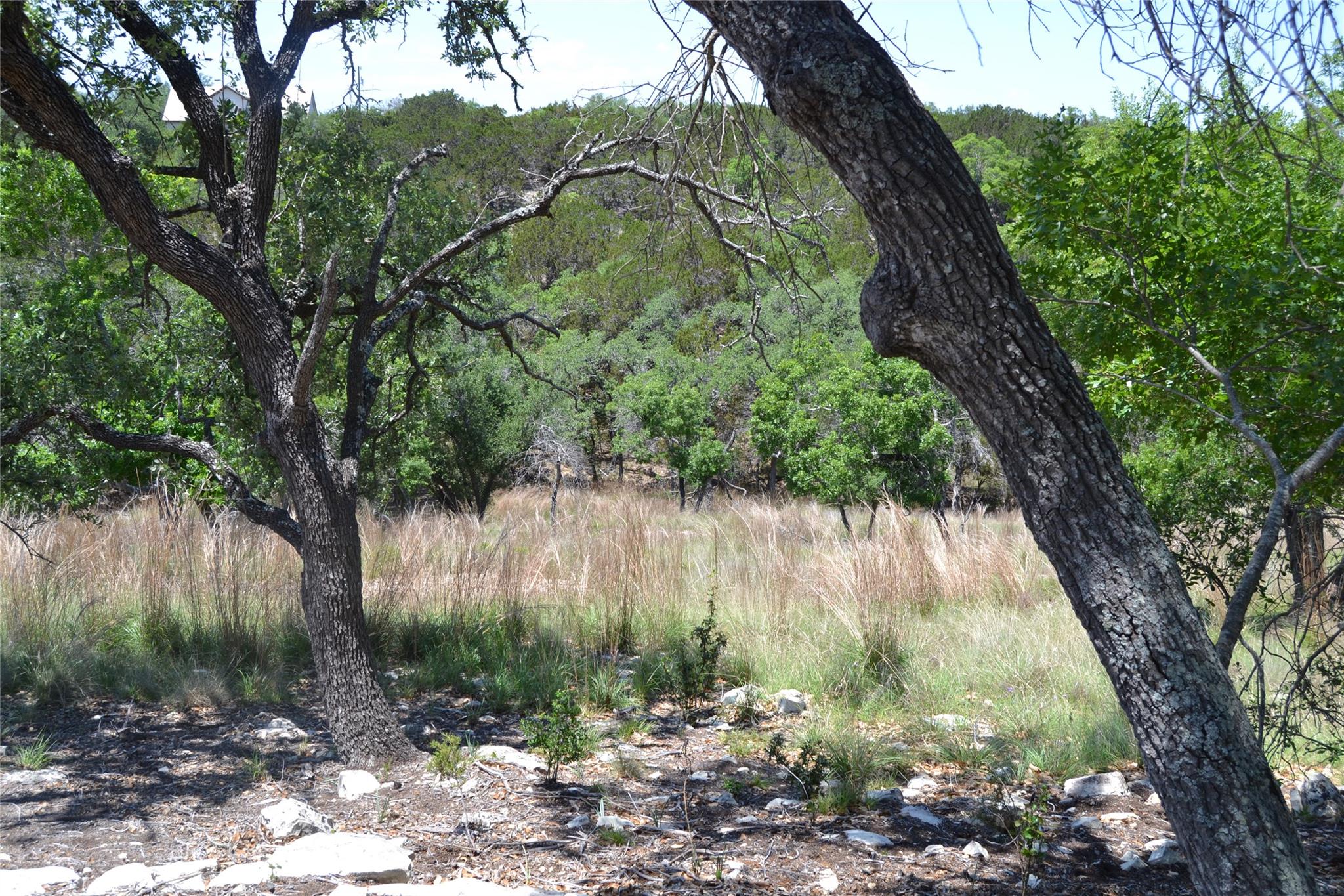 560 Longview Rd, Dripping Springs, TX 78620