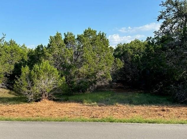 401 Mountain Crest Dr, Wimberley, TX 78676