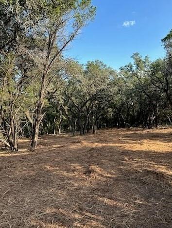 401 Mountain Crest Dr, Wimberley, TX 78676