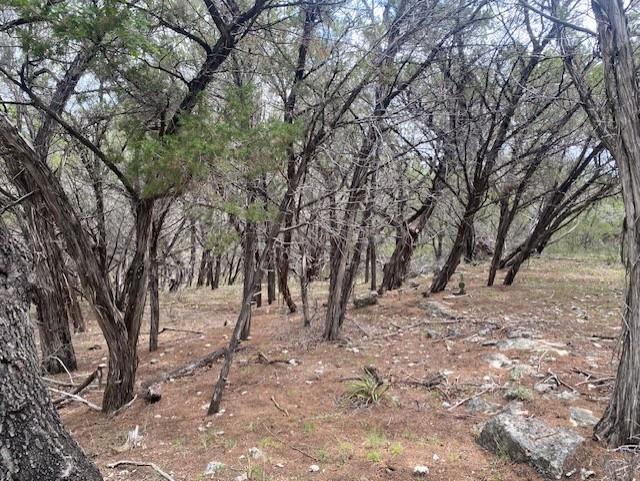 20902 Stone Cliff Dr, Lago Vista, TX 78645