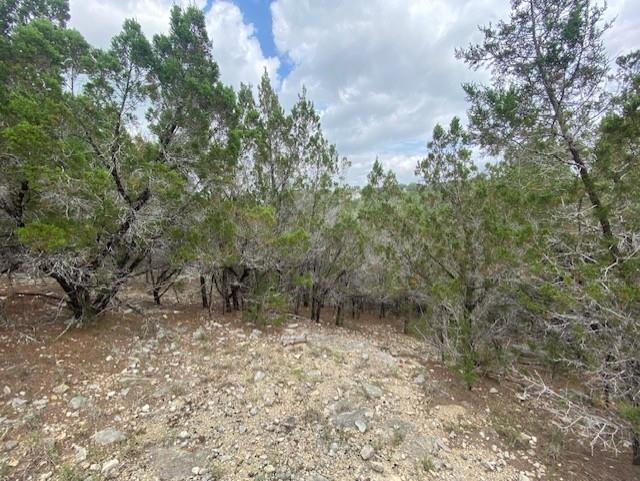 20902 Stone Cliff Dr, Lago Vista, TX 78645