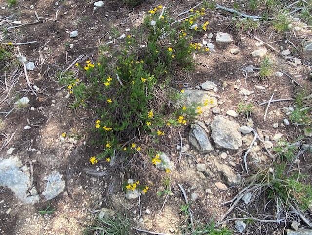 20902 Stone Cliff Dr, Lago Vista, TX 78645