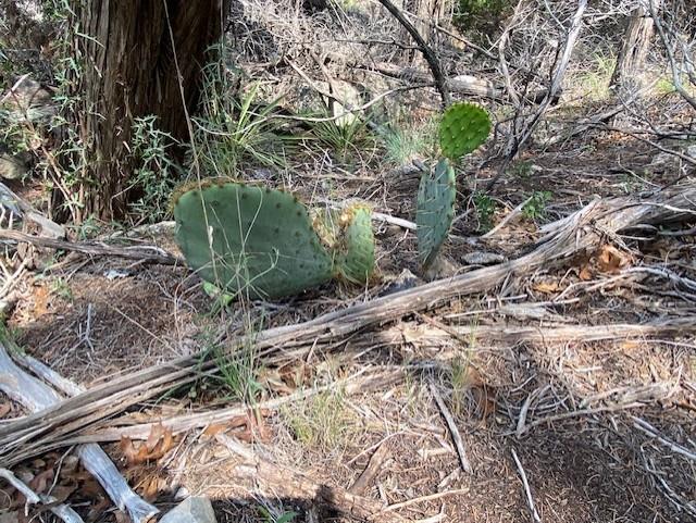 20902 Stone Cliff Dr, Lago Vista, TX 78645