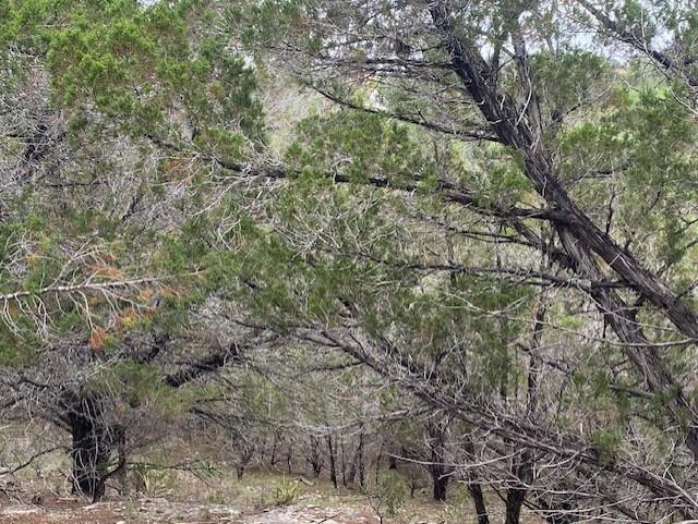 20902 Stone Cliff Dr, Lago Vista, TX 78645