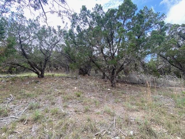 20902 Stone Cliff Dr, Lago Vista, TX 78645