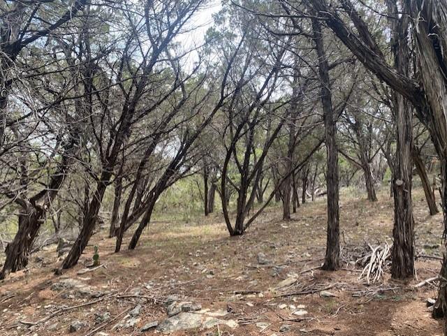 20902 Stone Cliff Dr, Lago Vista, TX 78645