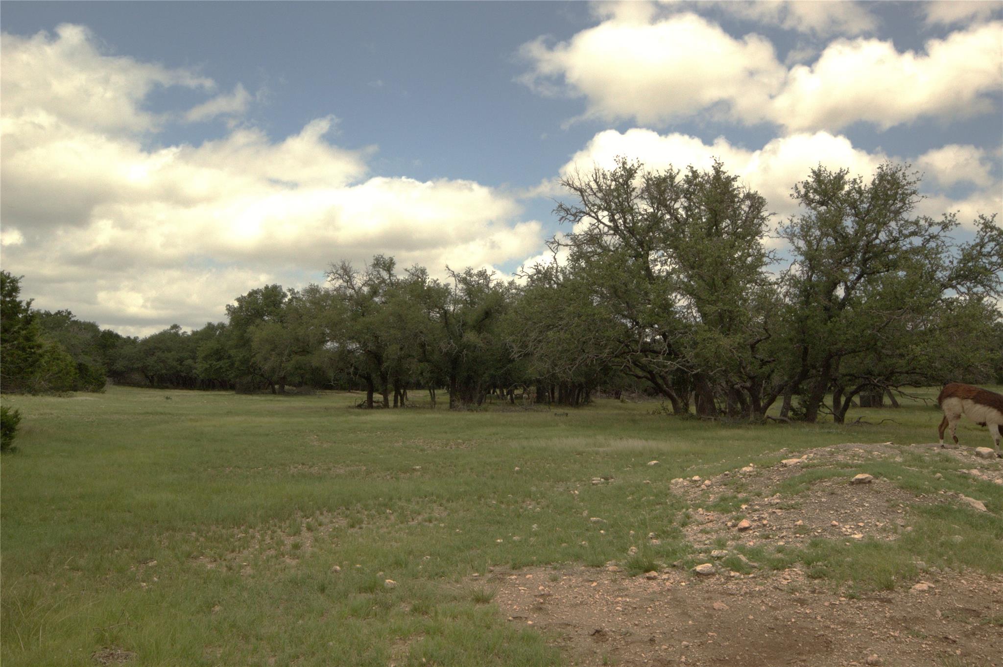 51 Dead End Rd., Mountain Home, TX 78058