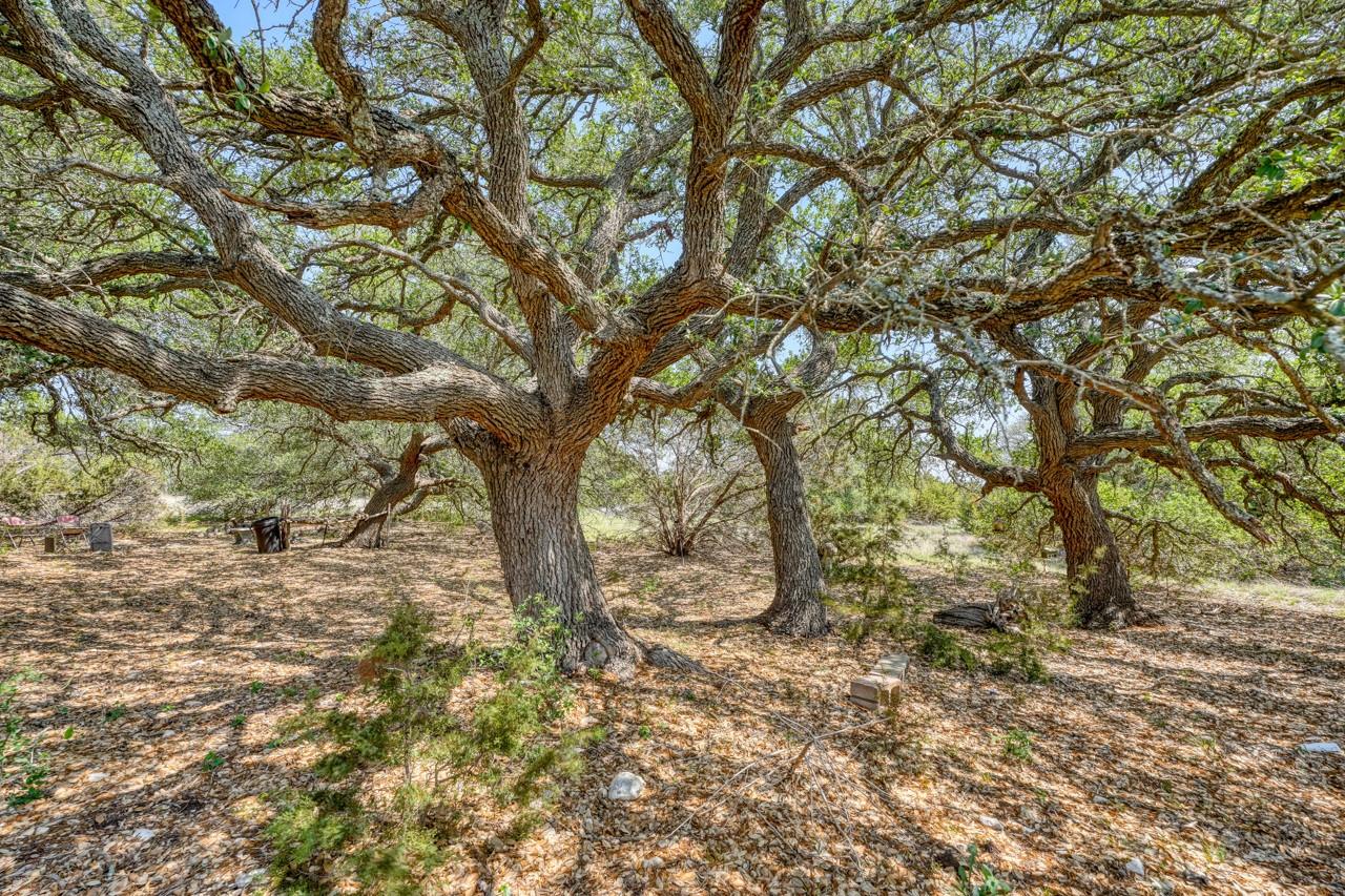 545 County Road 258, Bertram, TX 78605