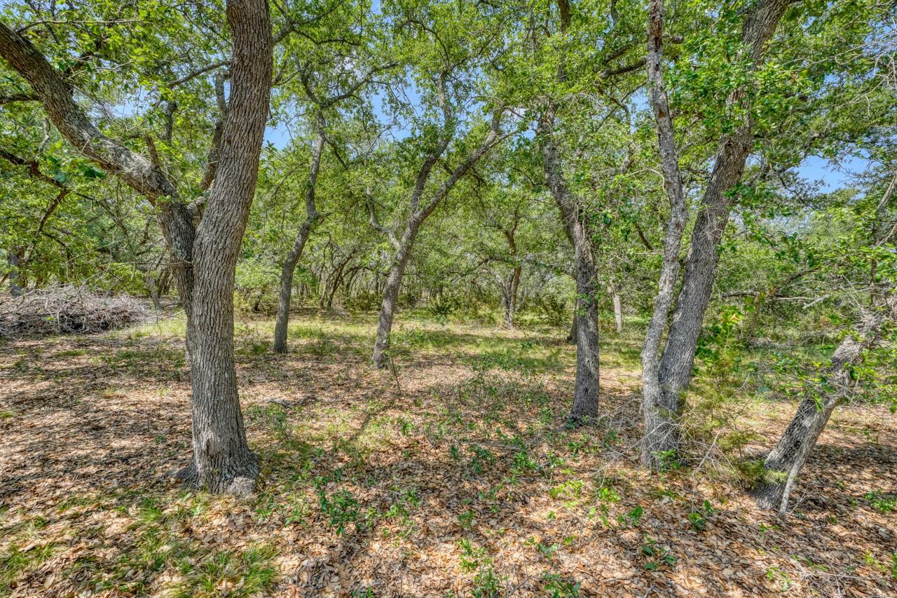 545 County Road 258, Bertram, TX 78605
