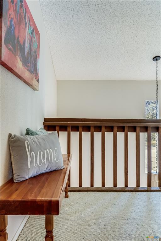 133 Comanche Pt, Point Venture, TX 78645