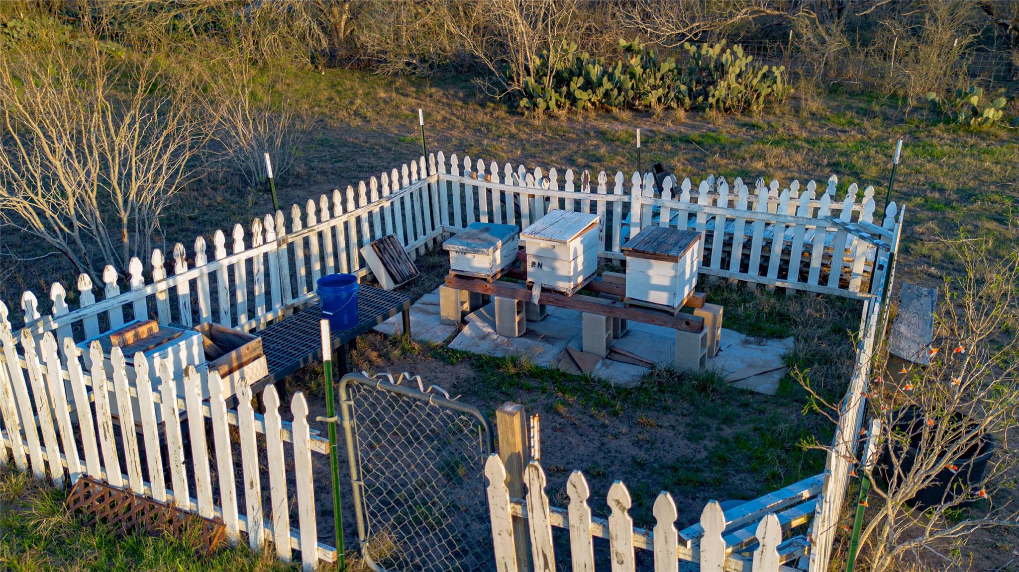 7150 Linne Rd, Seguin, TX 78155