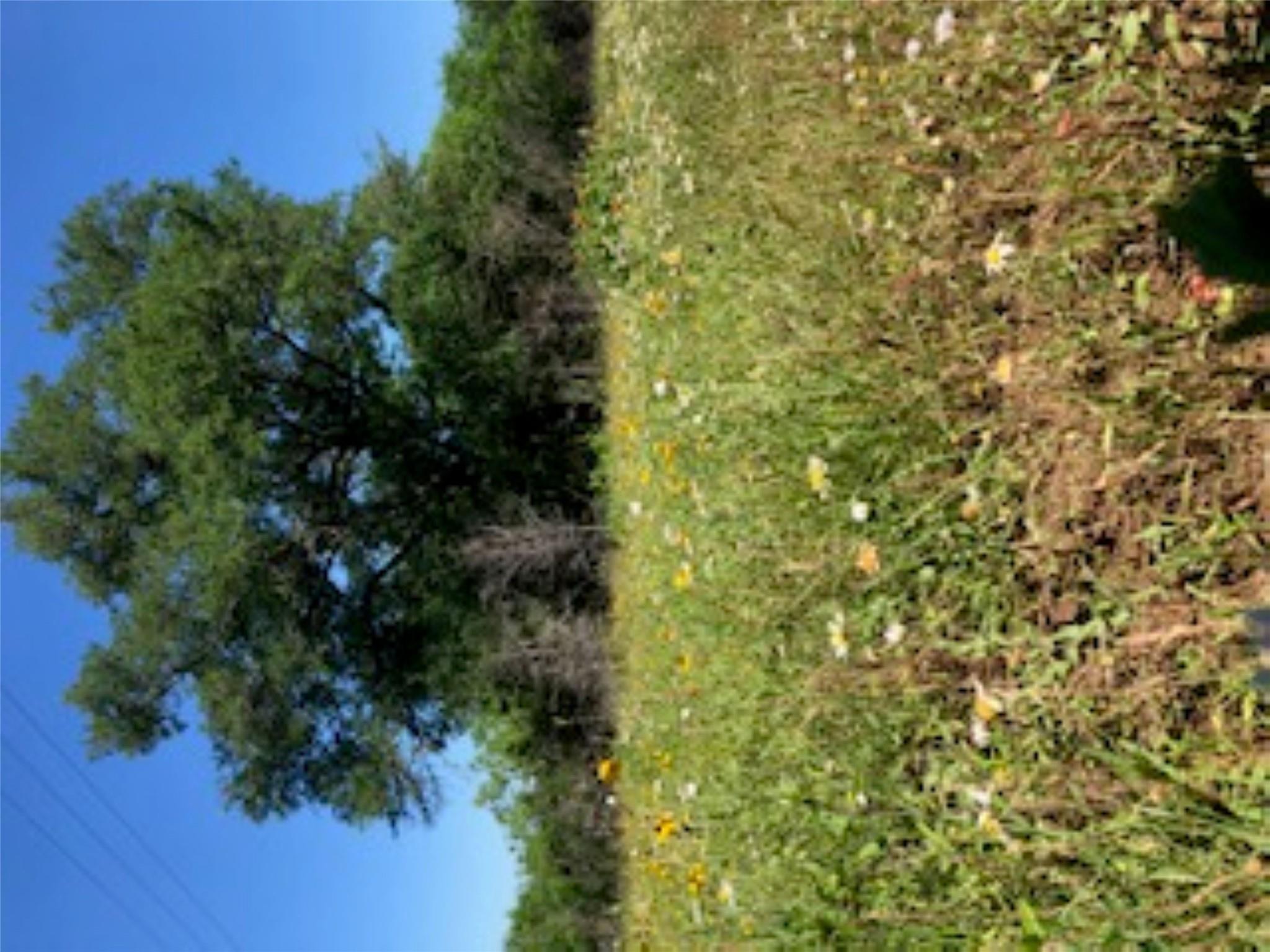 569 TBD Burdette Wells Rd, Lockhart, TX 78644