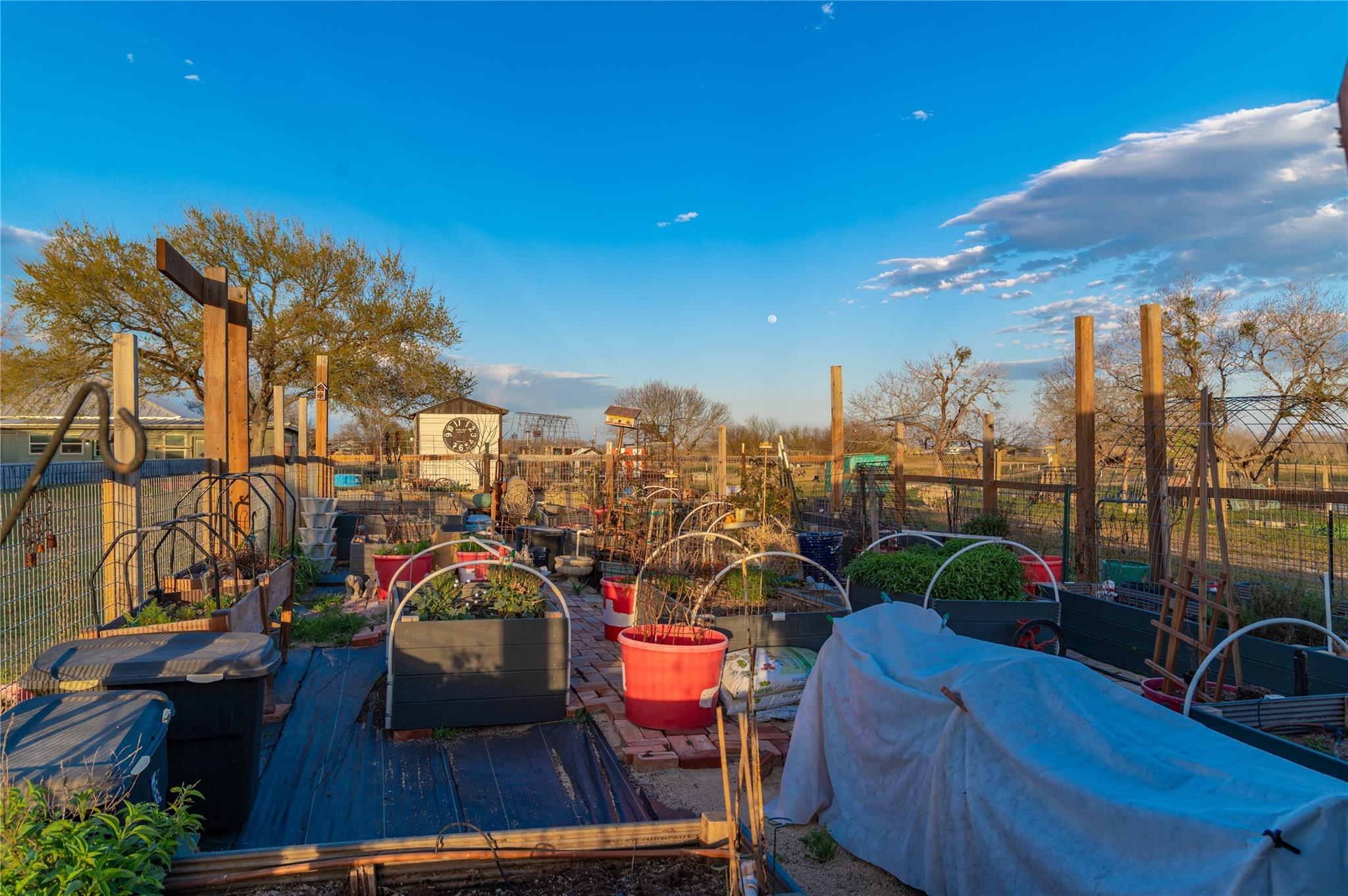 7150 Linne Rd, Seguin, TX 78155