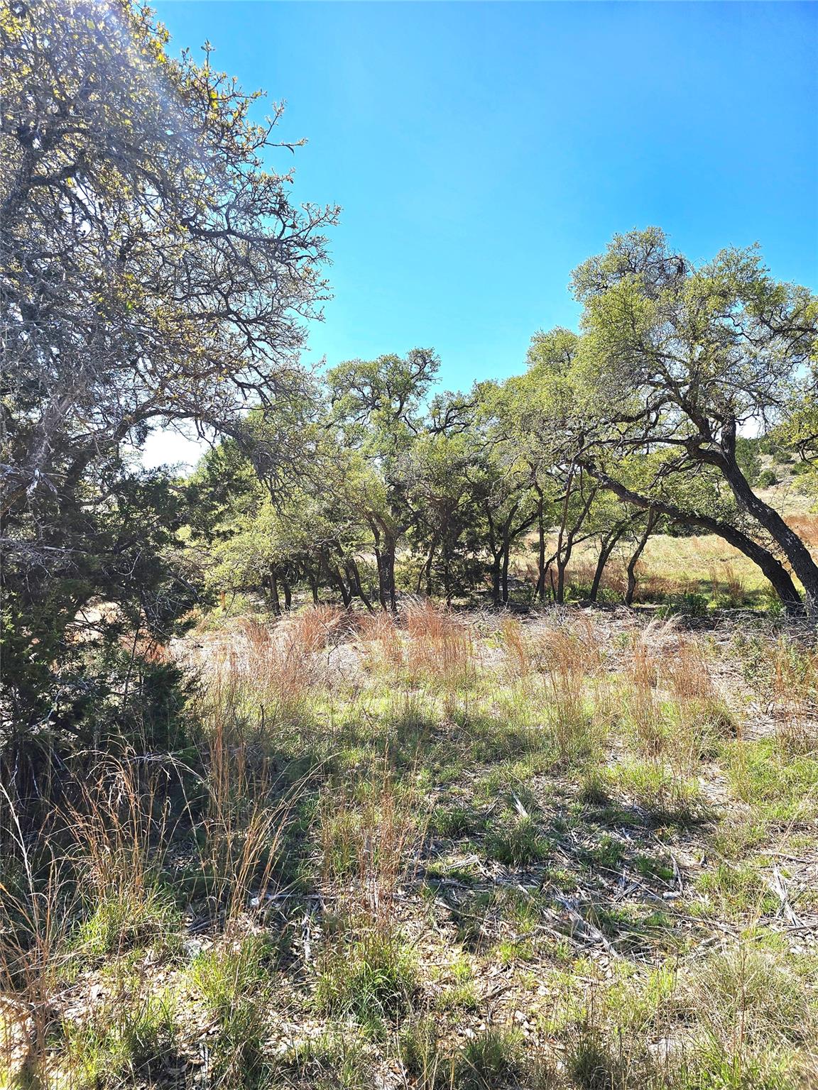 292 N Scenic Hills Ct, Blanco, TX 78606