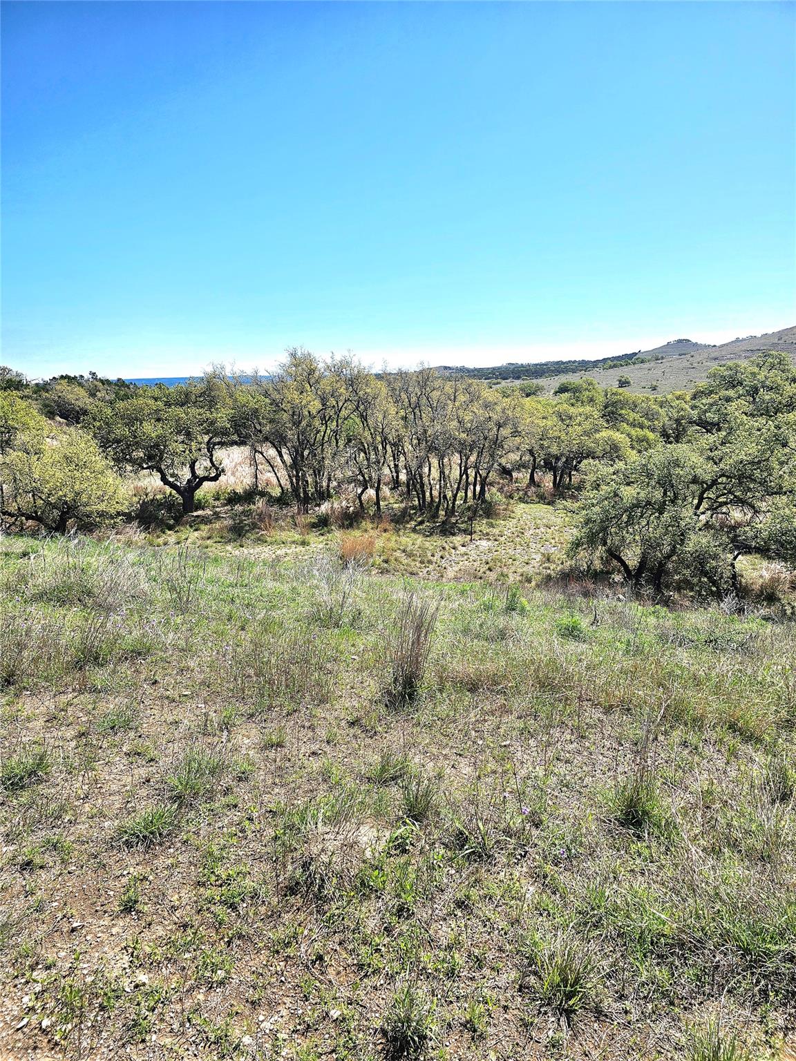292 N Scenic Hills Ct, Blanco, TX 78606