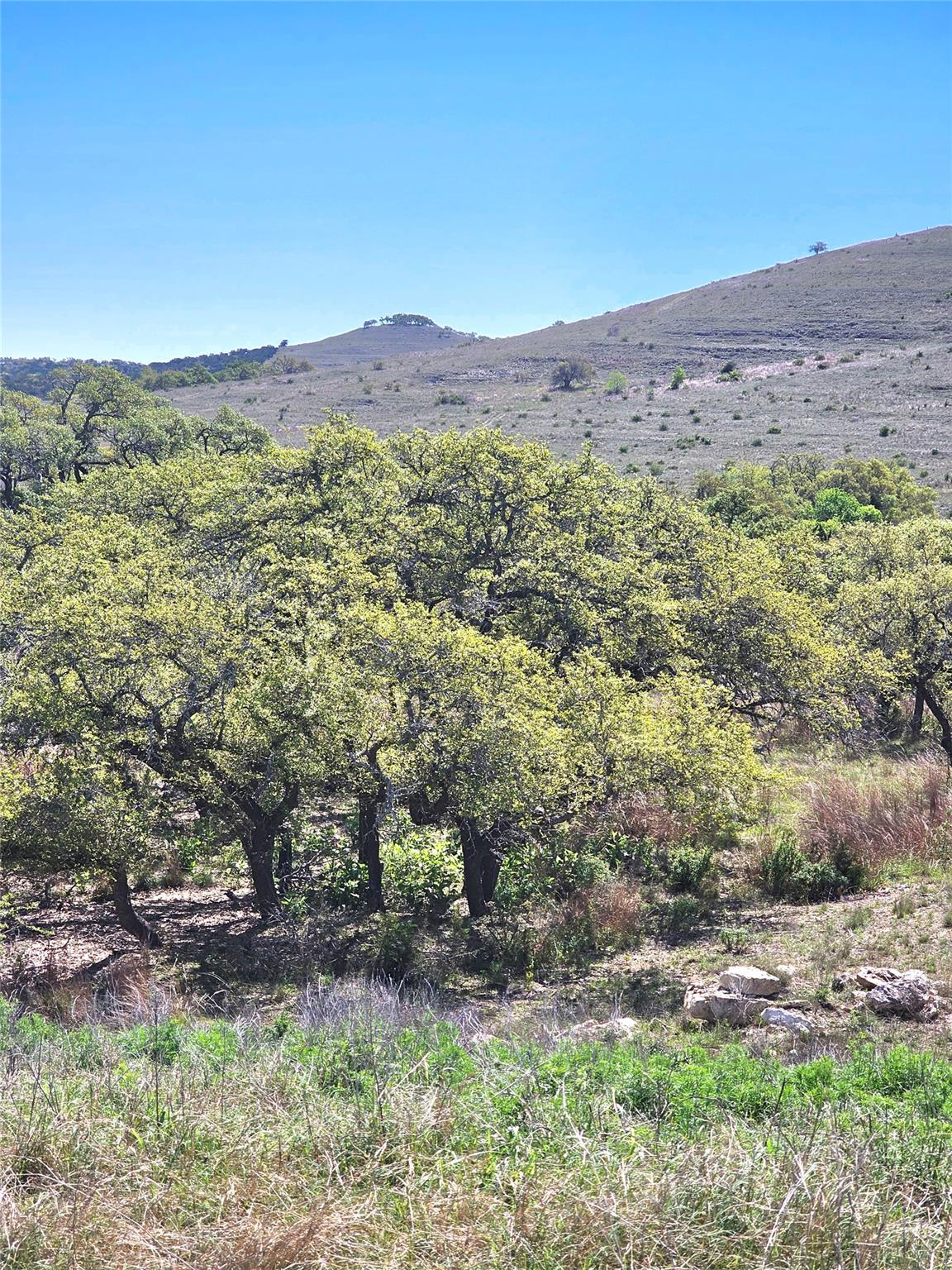 292 N Scenic Hills Ct, Blanco, TX 78606