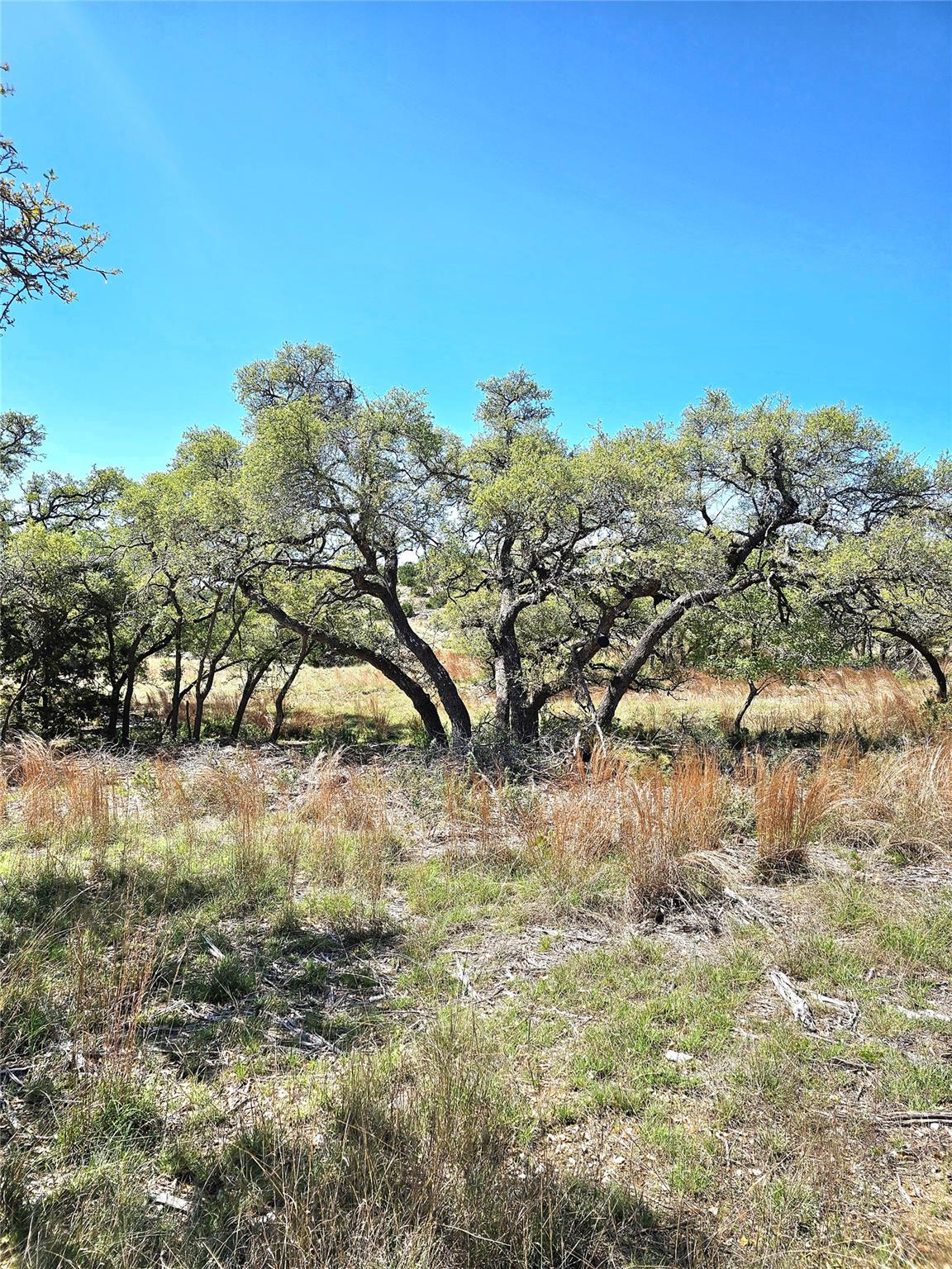 292 N Scenic Hills Ct, Blanco, TX 78606