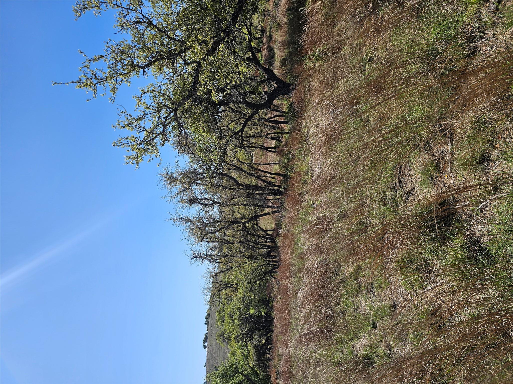 292 N Scenic Hills Ct, Blanco, TX 78606