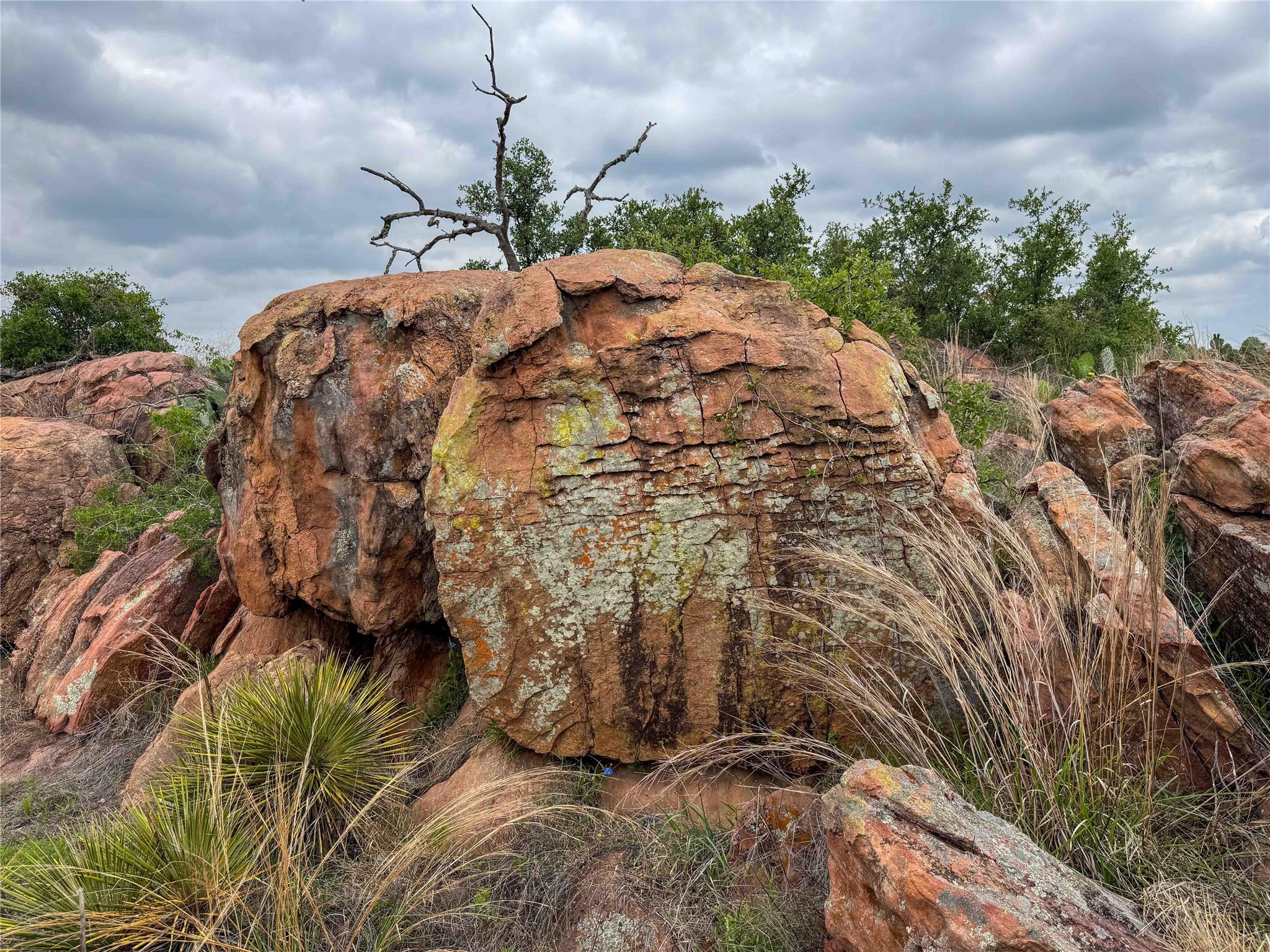 TBD Fly Gap Rd, Mason, TX 76856