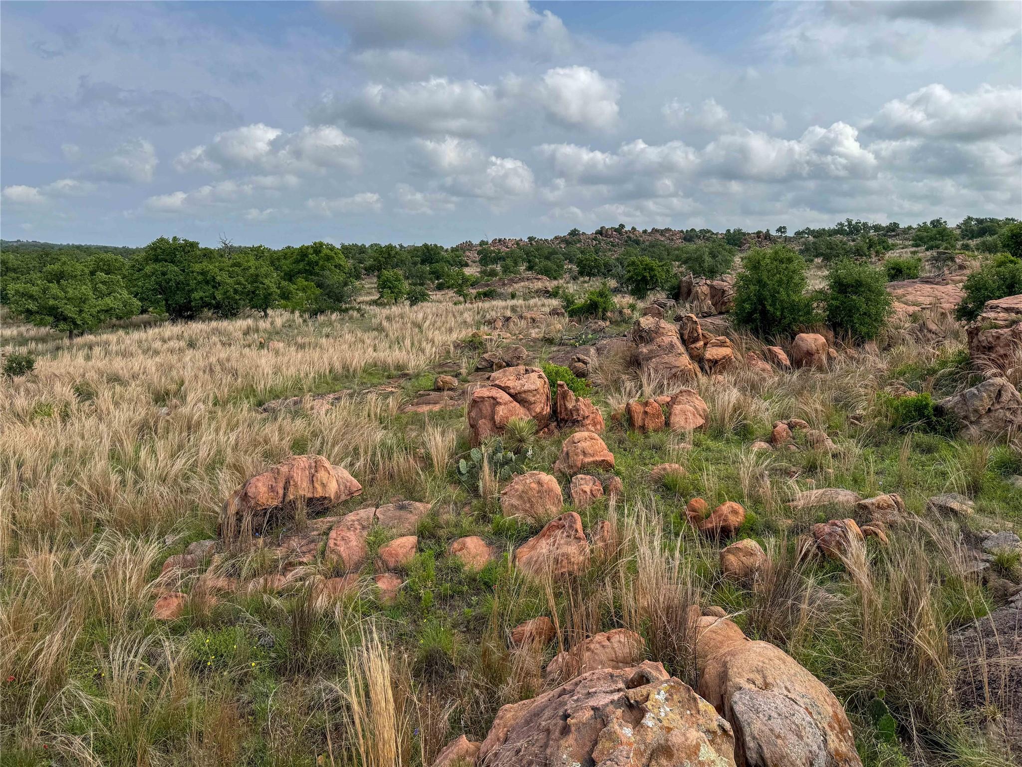 TBD Fly Gap Rd, Mason, TX 76856