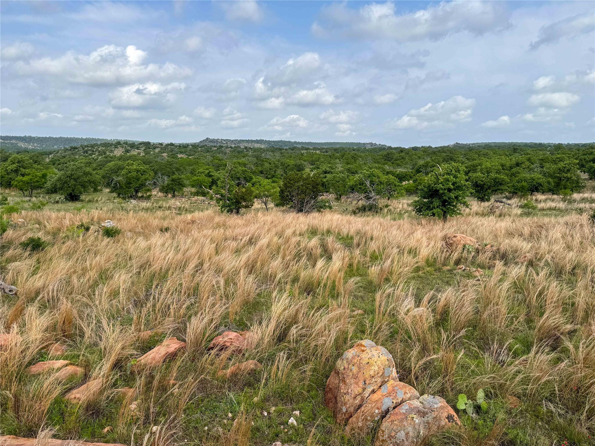 TBD Fly Gap Rd, Mason, TX 76856