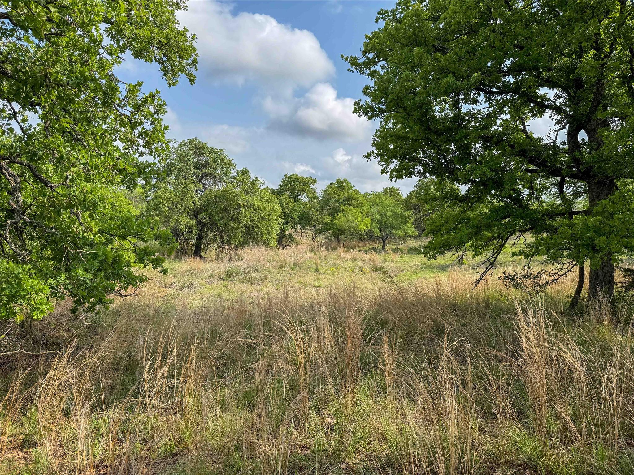 TBD Fly Gap Rd, Mason, TX 76856