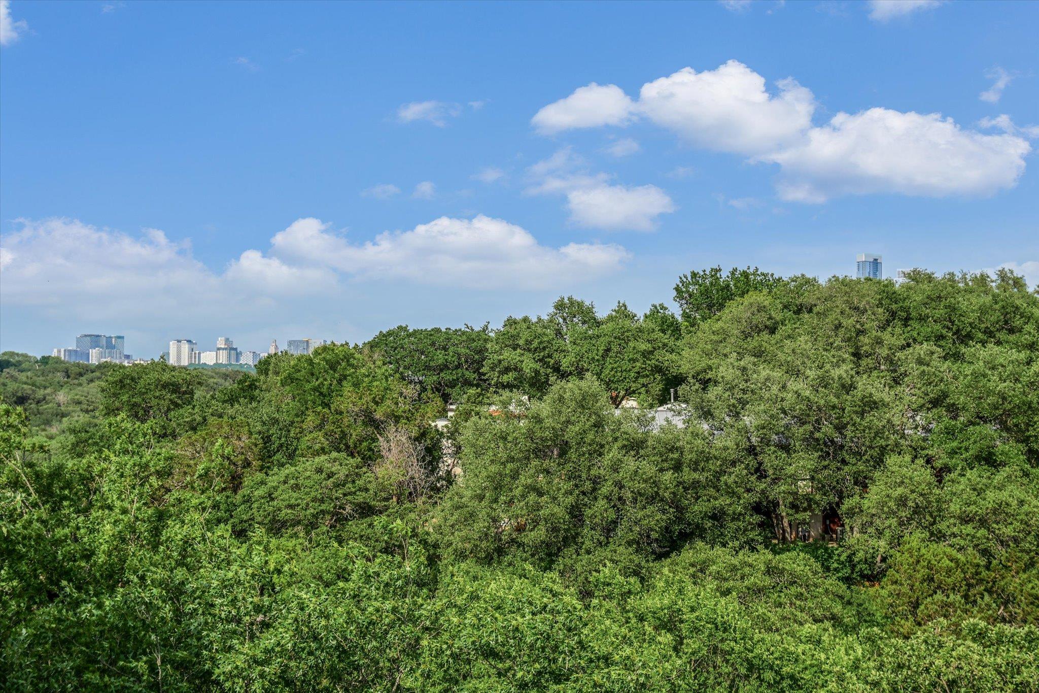 1703 Brookhaven Dr, Austin, TX 78704