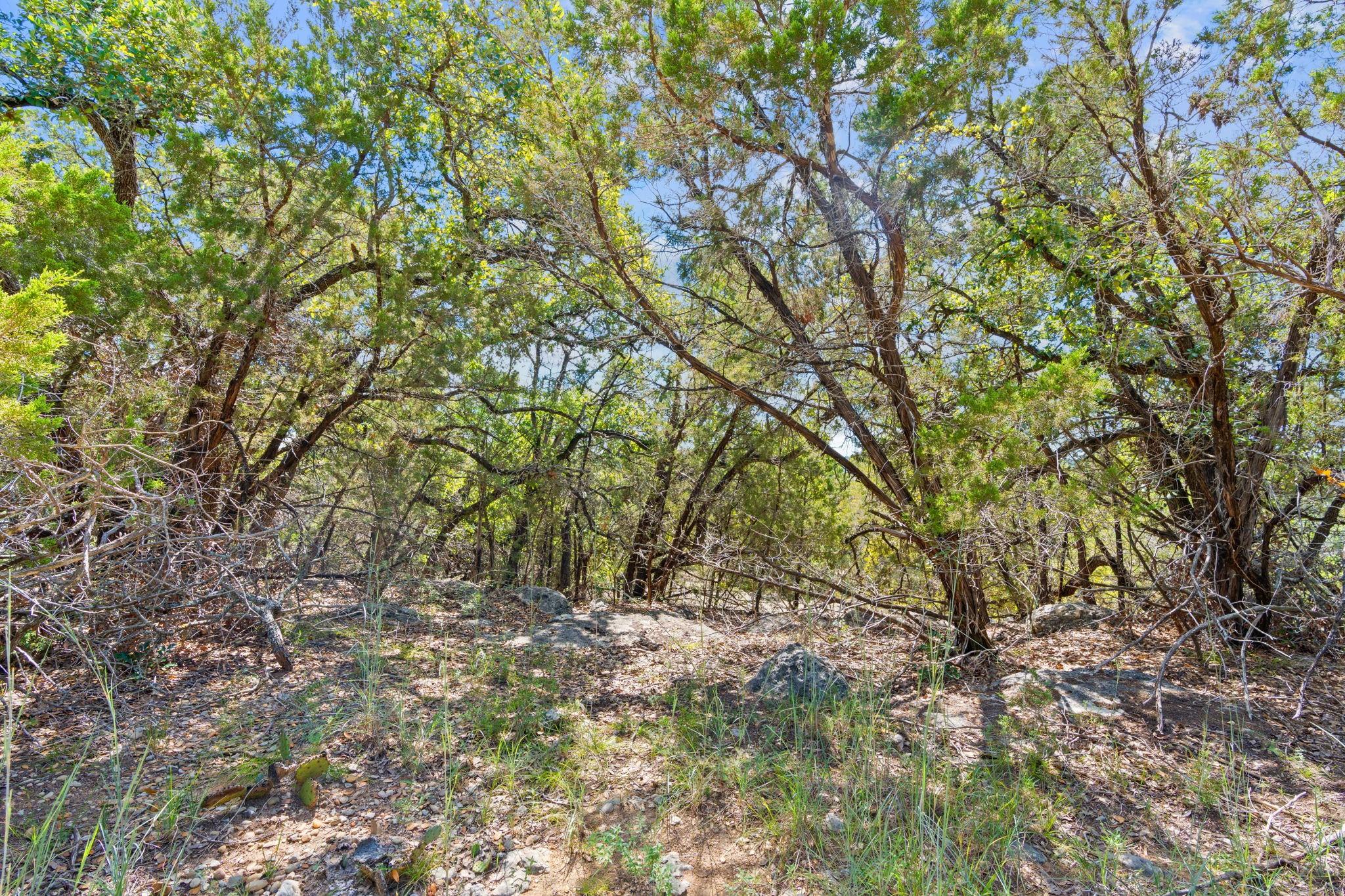 635 Ivean Pearson Rd, Lago Vista, TX 78645