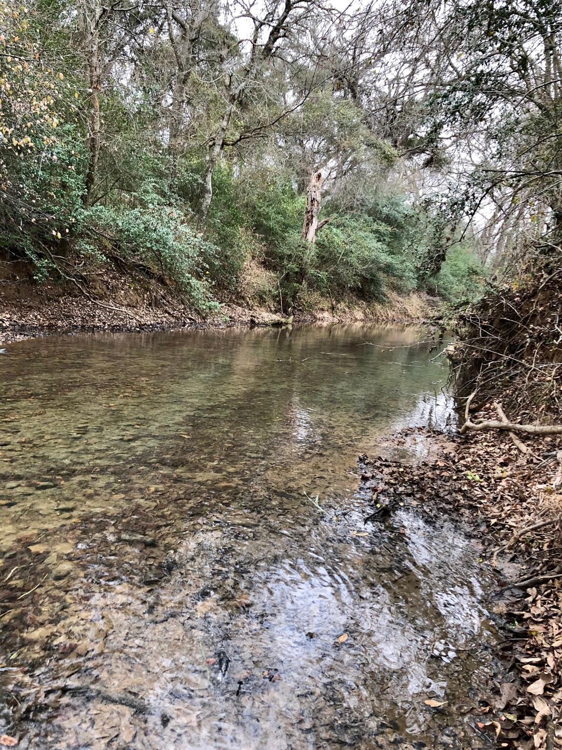 TBD 144.45 acres, Smithville, TX 78957