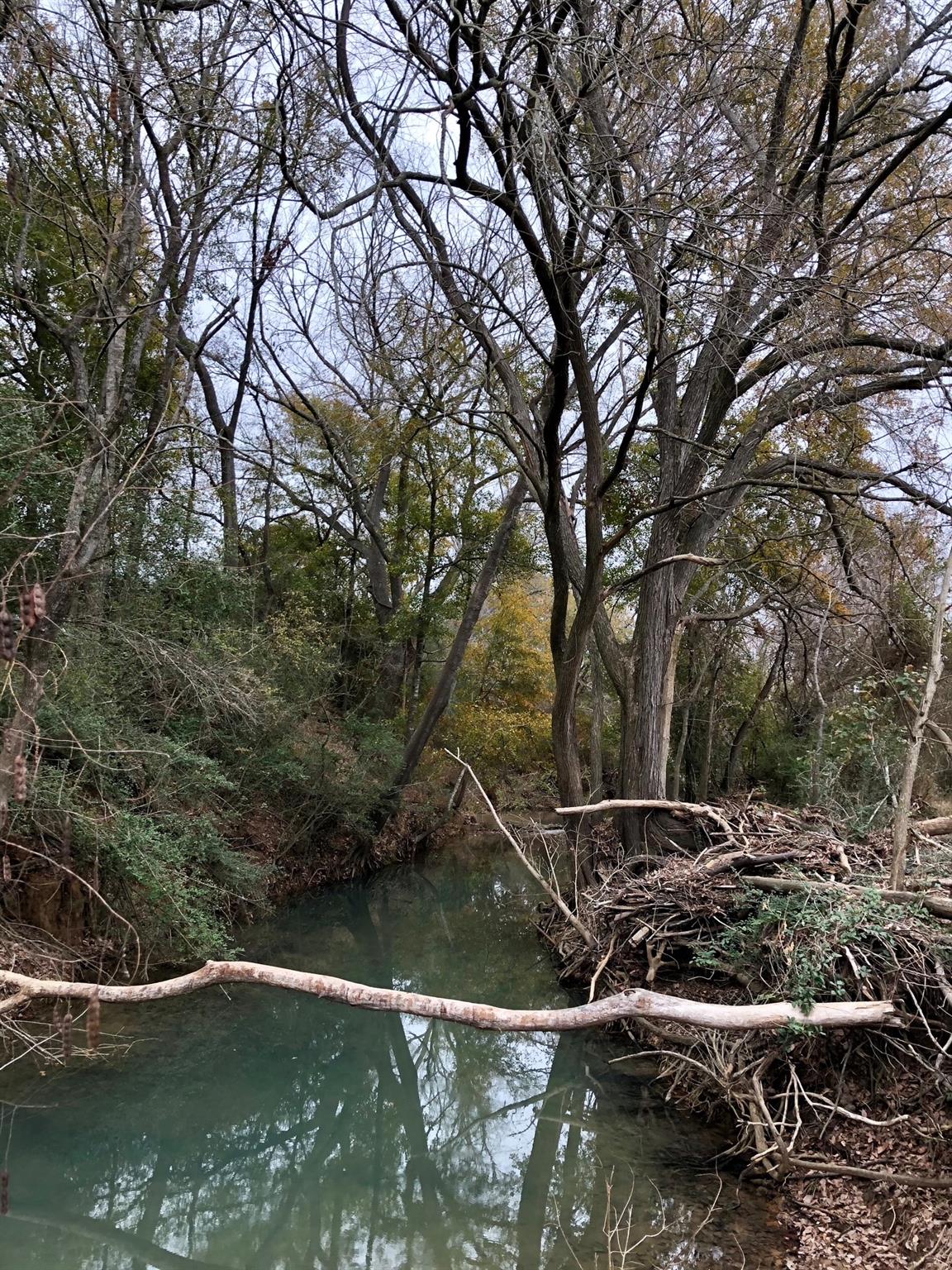 TBD 144.45 acres, Smithville, TX 78957