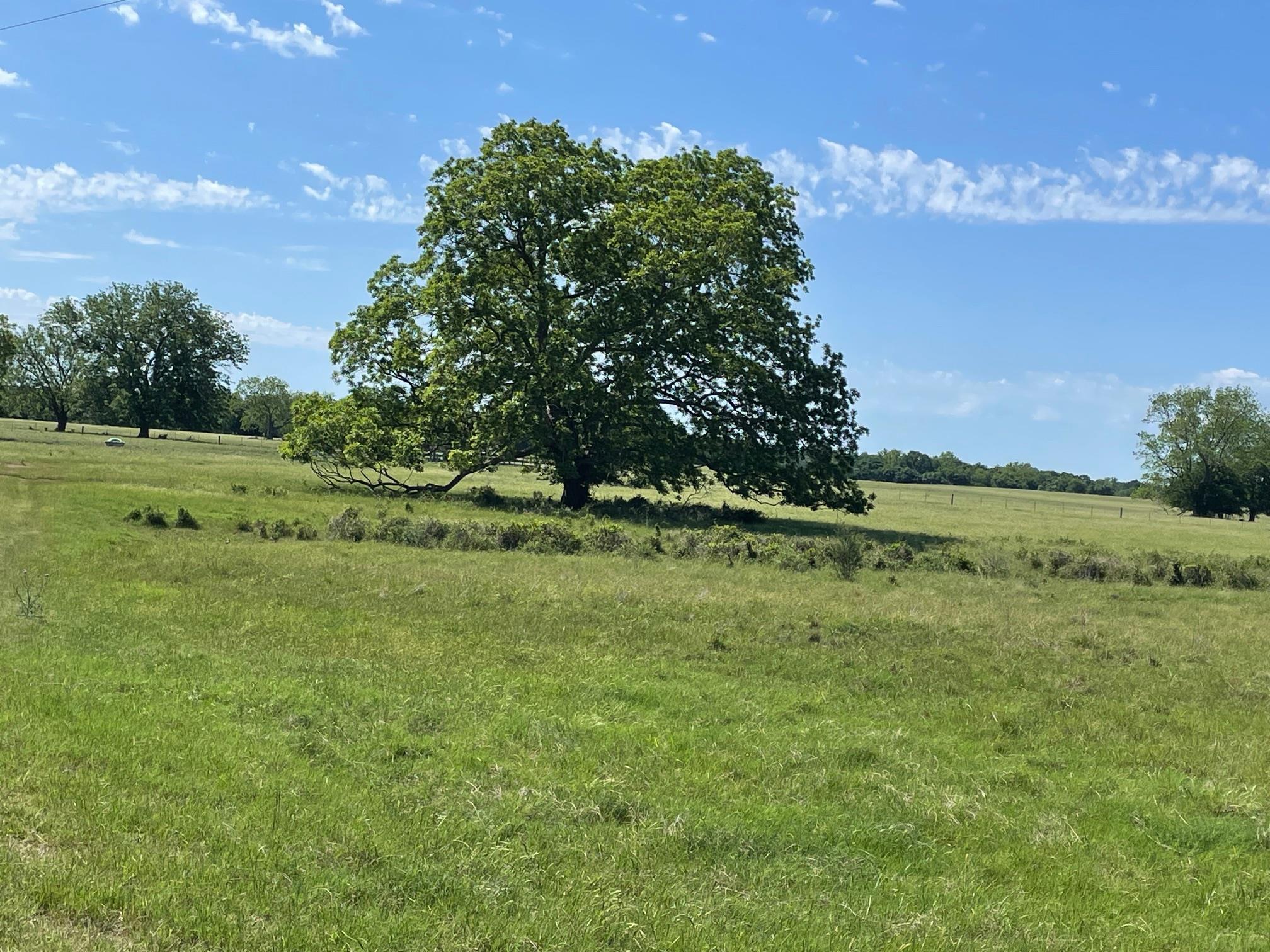 TBD 144.45 acres, Smithville, TX 78957