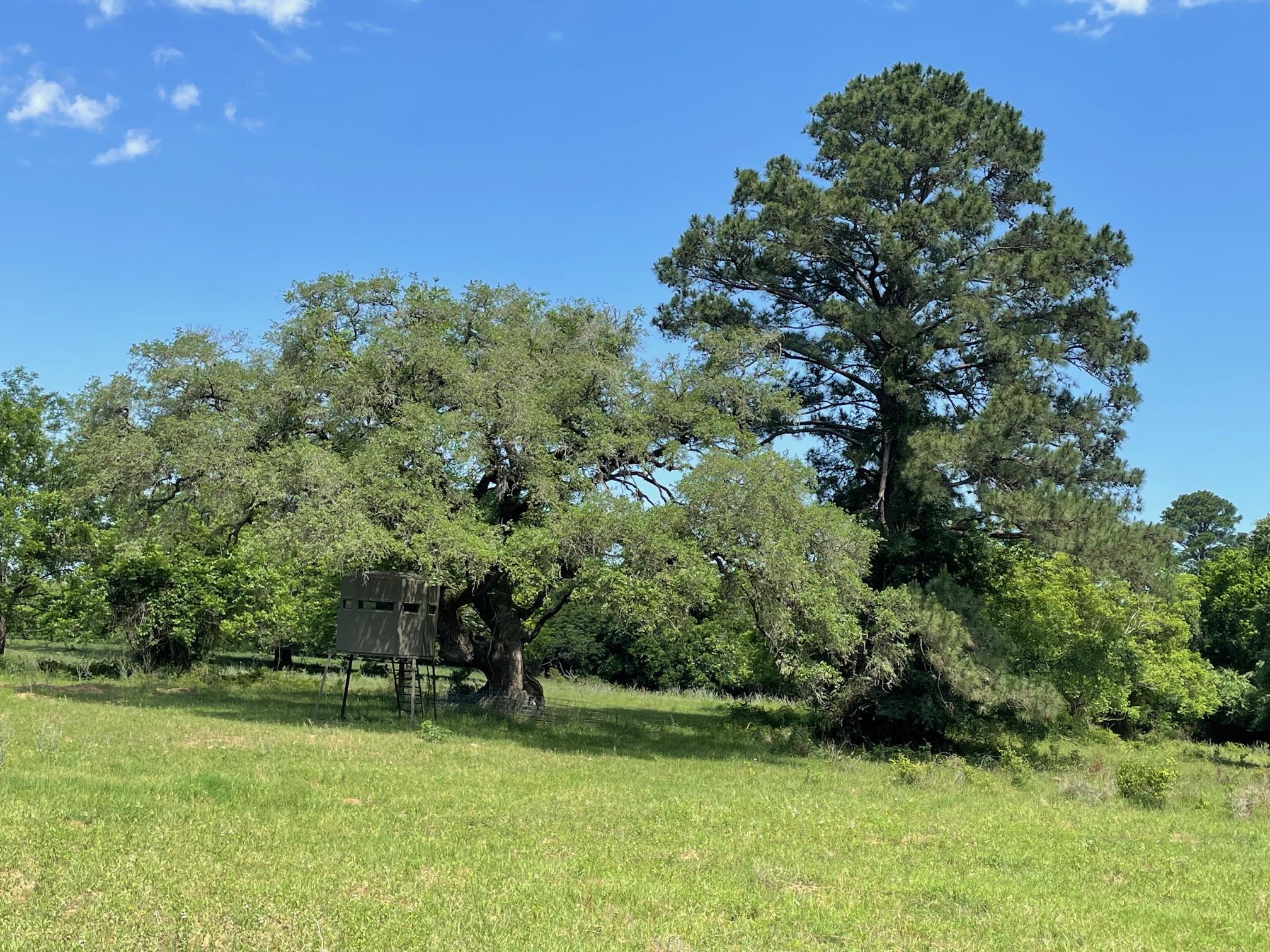 TBD 144.45 acres, Smithville, TX 78957