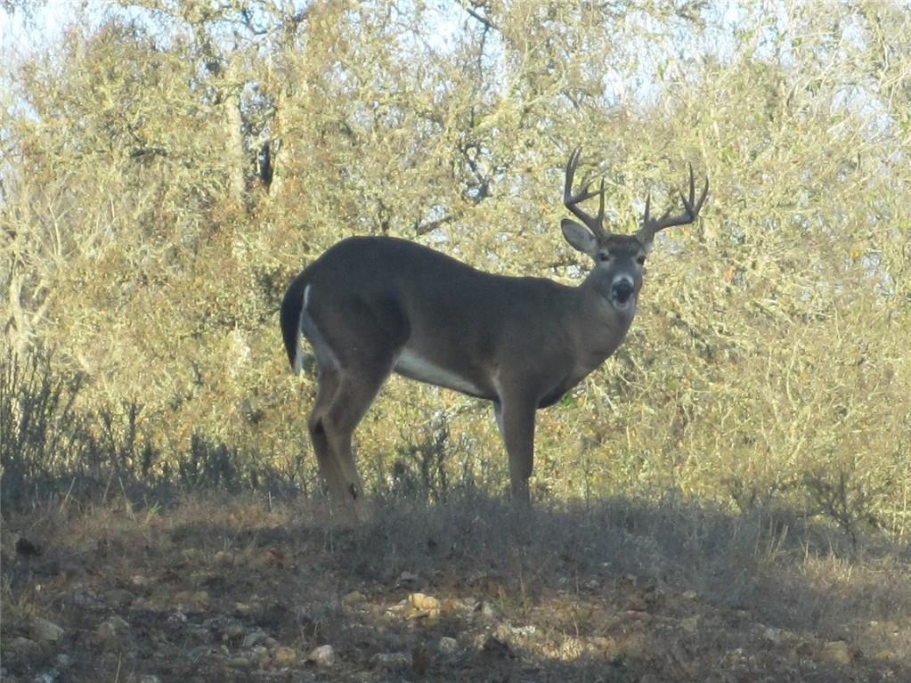 TBD 144.45 acres, Smithville, TX 78957