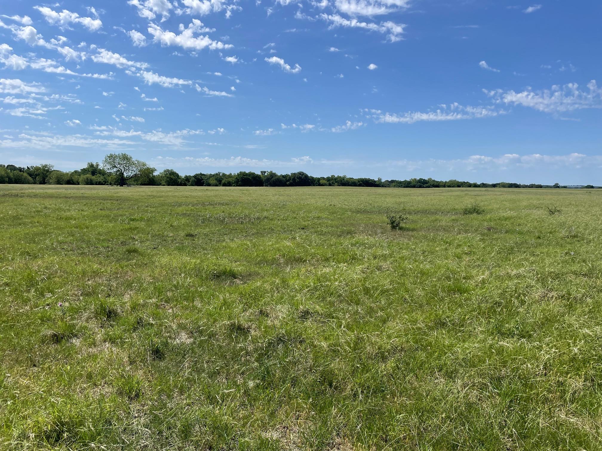 TBD 144.45 acres, Smithville, TX 78957