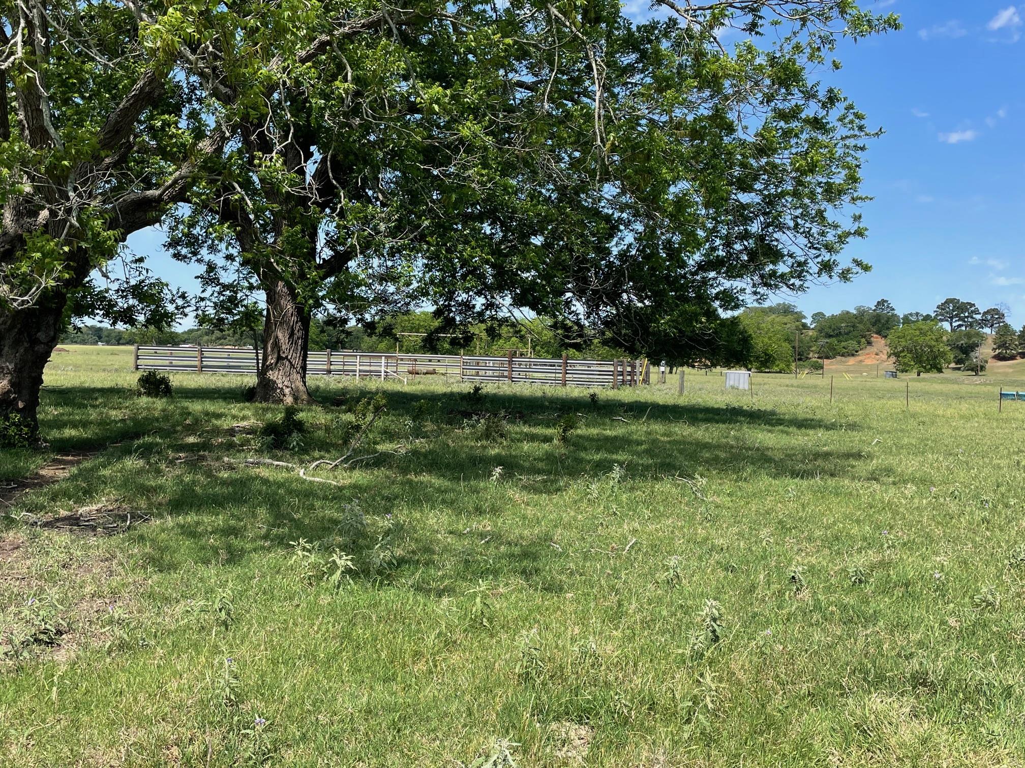 TBD 144.45 acres, Smithville, TX 78957