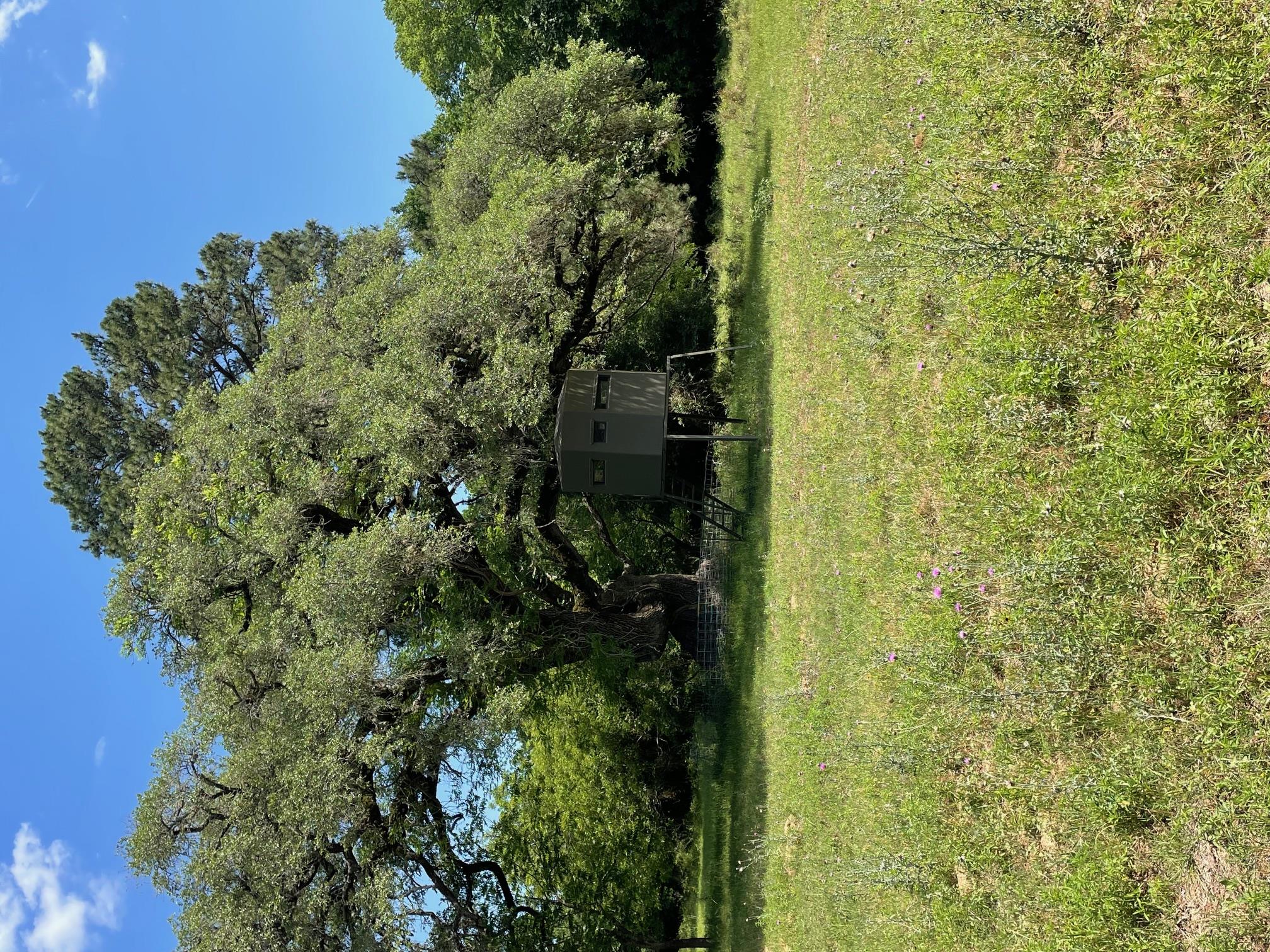 TBD 144.45 acres, Smithville, TX 78957