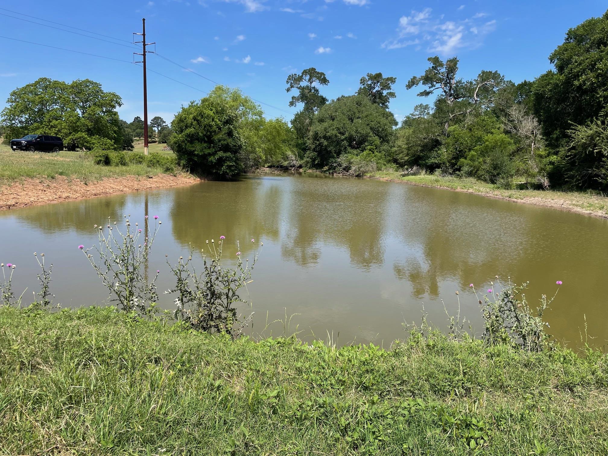 TBD 144.45 acres, Smithville, TX 78957
