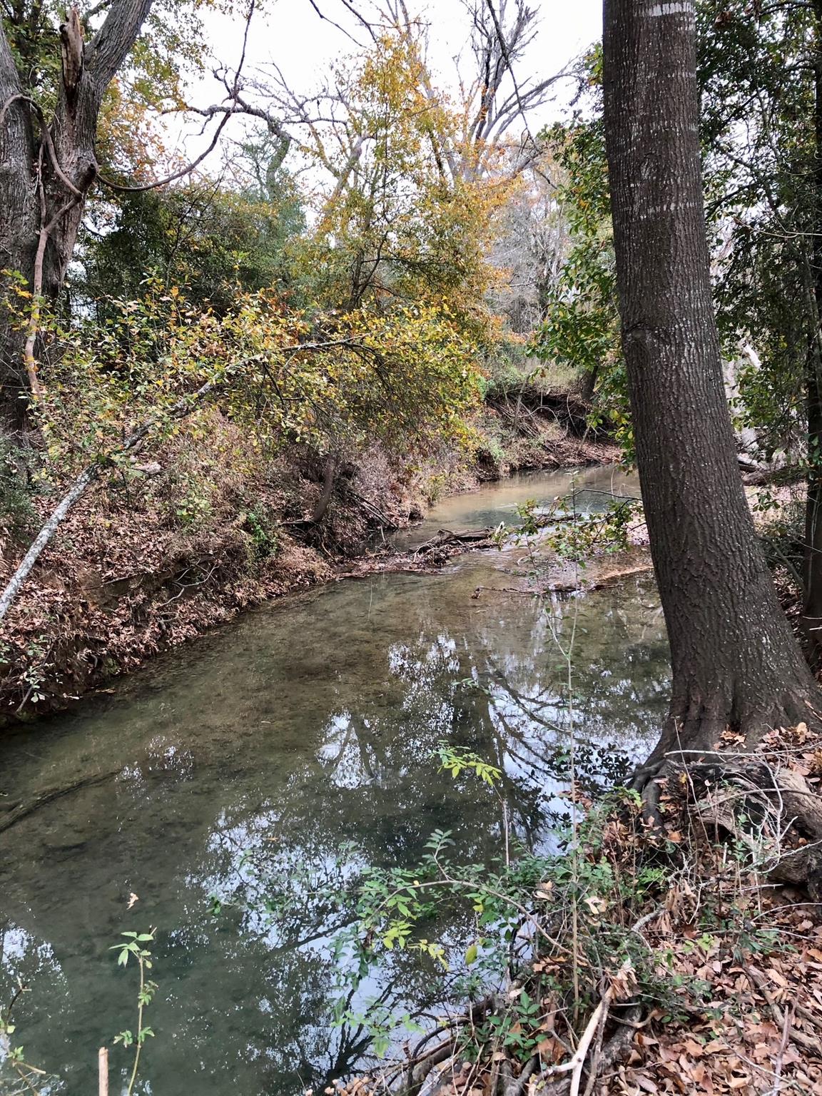 TBD 144.45 acres, Smithville, TX 78957