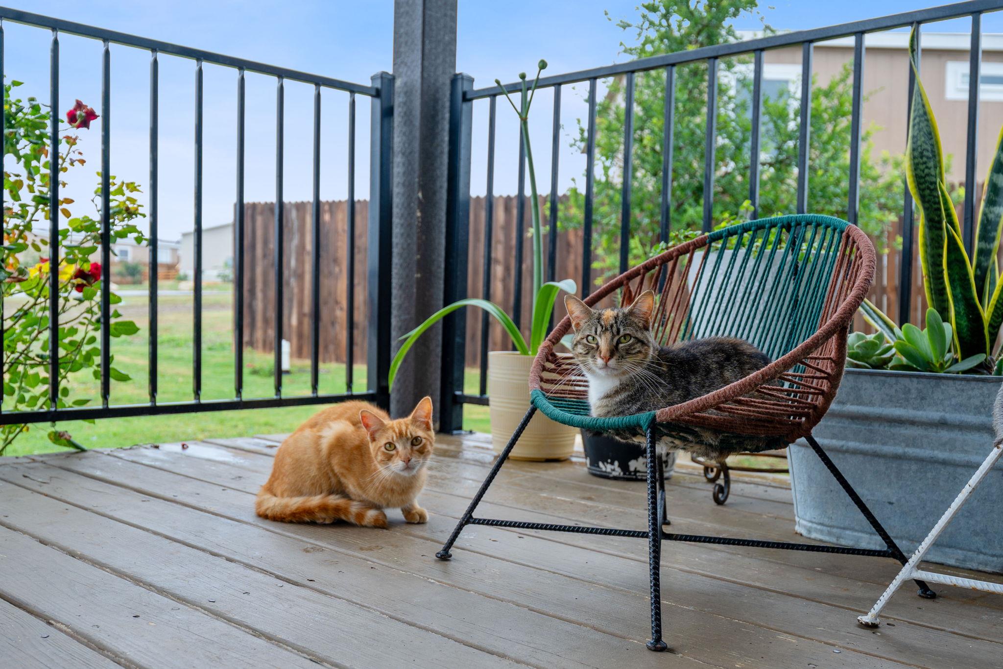 121 Fate Ct, Kyle, TX 78640