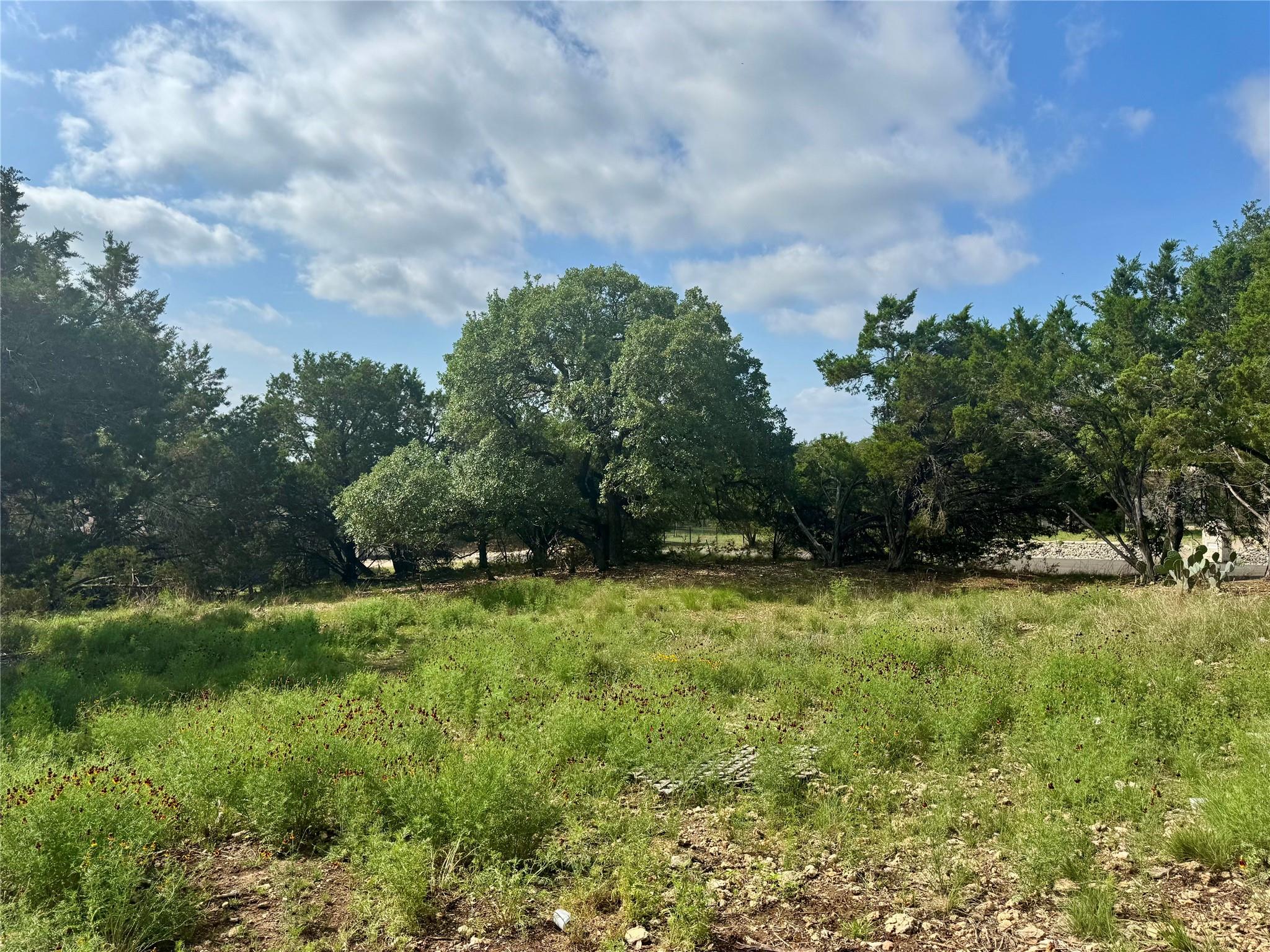 21021 Nimitz Ave, Lago Vista, TX 78645