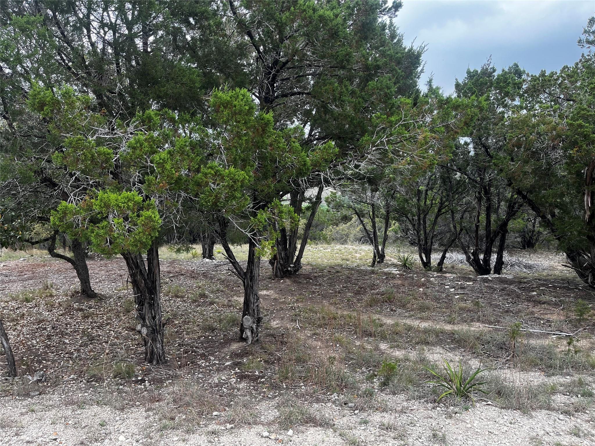 20613 Falcon, Lago Vista, TX 78645